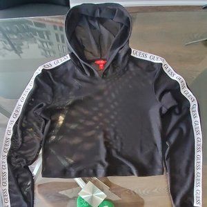 Crop Long Sleeve Mesh Top